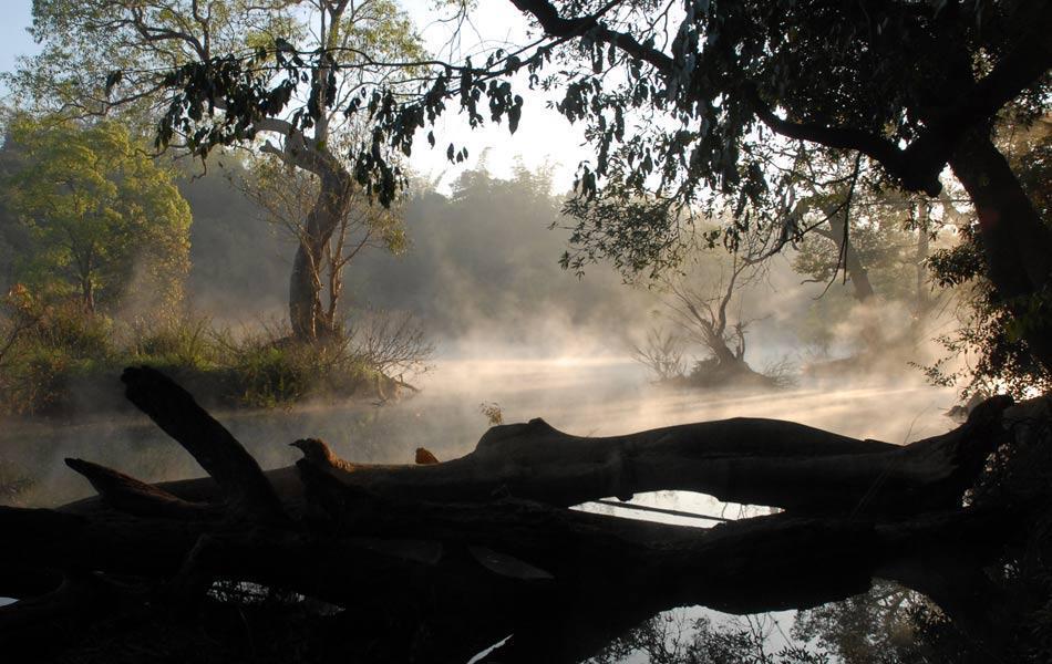 Coorg Anekad Jungle Stay Kushalnagar Exterior photo